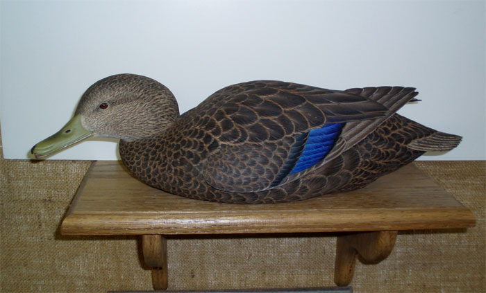 Life Size Decorative Black Duck - Ben Heineman  ...loading...