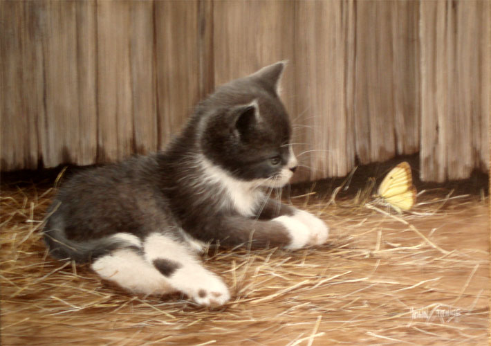 John Crouse - Kitten with Butterfly