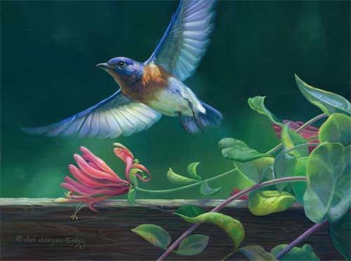 Joni johnson Godsy "Translucence" - Eastern Bluebird - acrylic on masonite