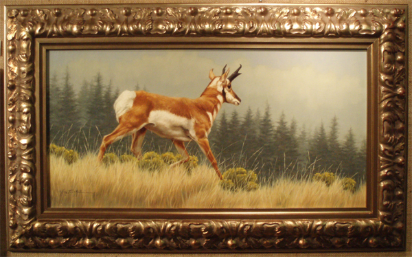 Cruising (PRONGHORN ANTELOPE) Krystii Melaine
