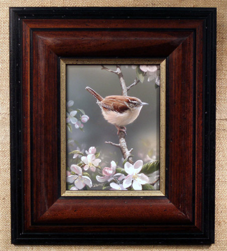 Carolina Wren by Joe Hautman