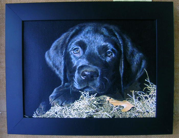 Black Lab Pup - Linda Daniels Oil 9x12