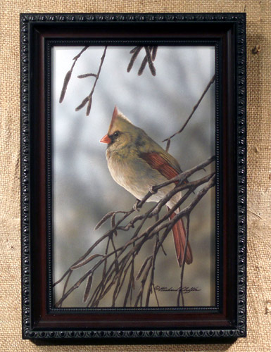 Female Cardinal by Richard Clifton