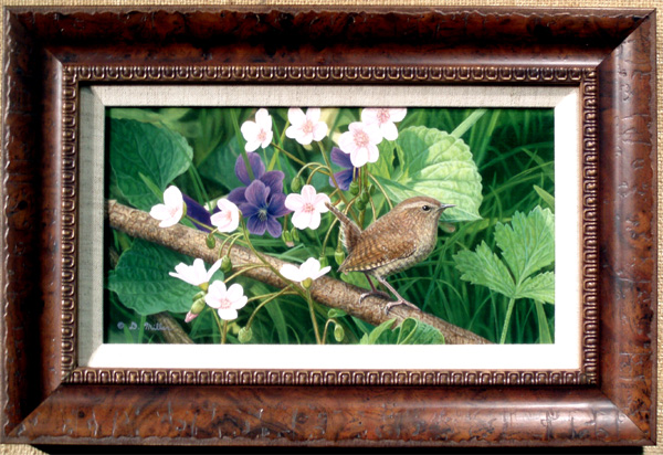 Noises in the Underbrush (Wren) by Darin Miller
