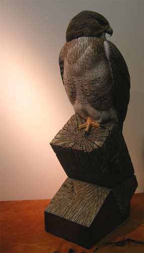 Red Tail Hawk by Greg Pedersen