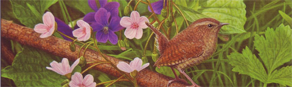 Decoys Wildlife Gallery Spring Show 2008 - from Darin Miller's "Noises in the Underbrush"