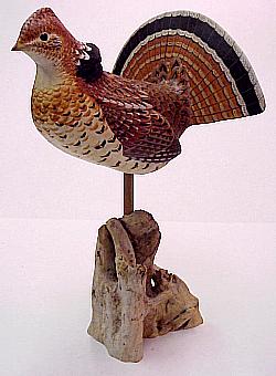 Drumming Ruffed Grouse