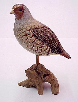 Hungarian Partridge
