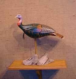 Turkey - Manfred Scheel