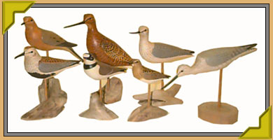 Miniature Shore Stick Birds
