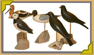 Shore Stick Birds
