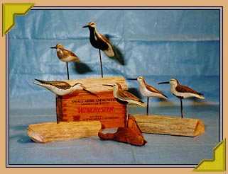 Stick Birds - 1