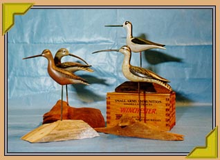 Stick Birds - 3